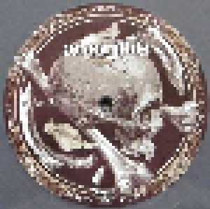 Amorphis: Circle (2-LP) - Bild 4