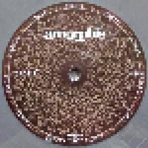 Amorphis: Circle (2-LP) - Bild 5
