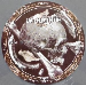 Amorphis: Circle (2-LP) - Bild 6