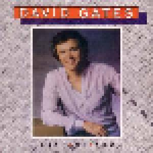 David Gates: Take Me Now - Cover