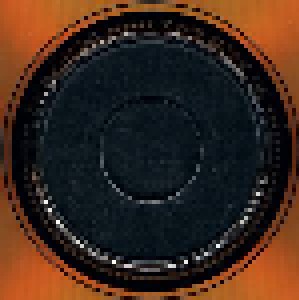 Creedence Clearwater Revival: 24 Carat (3-CD) - Bild 7