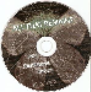 All That Remains: This Darkened Heart (CD) - Bild 5