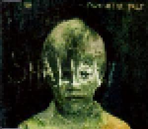 Porcupine Tree: Shallow - Cover