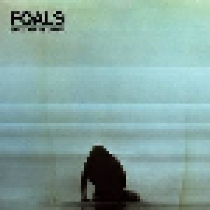 Foals: What Went Down (CD + DVD + LP) - Bild 1