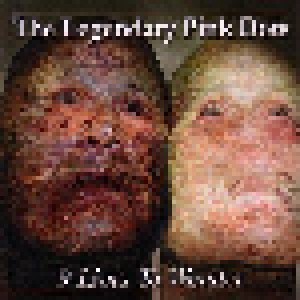 The Legendary Pink Dots: 9 Lives To Wonder (CD) - Bild 1
