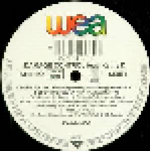 Damage Control Feat. Kathy D.: Don't You Feel My Pain (Promo-12") - Bild 2