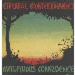 Ethereal Counterbalance: Mellifluous Confluence - Cover