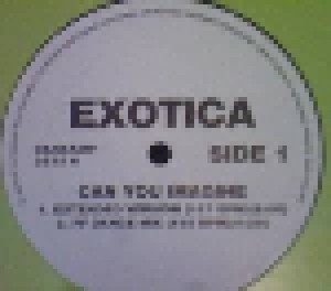 Cover - Exotica: Can You Imagine