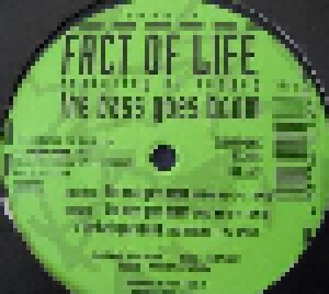Cover - Facts Of Life Feat. DJ Voodoo: Bass Goes Boom, The