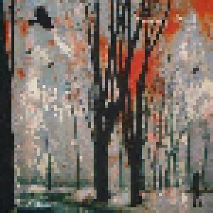 Midas Fall: Wilderness - Cover