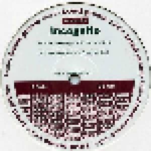 Incognito: Everyday [Roger Sanchez Remixes] (2-Promo-12") - Bild 3