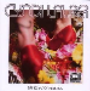 Cyndi Lauper: Bring Ya To The Brink (CD) - Bild 1