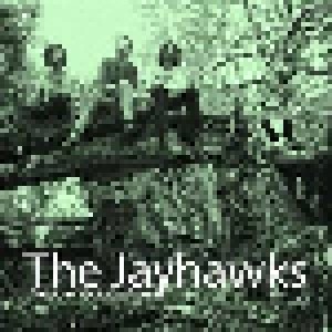 The Jayhawks: Tomorrow The Green Grass (LP) - Bild 1