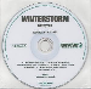 Winterstorm: Cathyron (Promo-CD-R) - Bild 1
