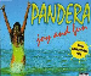 Pandera: Joy And Fun - Cover