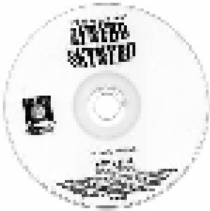 Top Musicians Play Lynyrd Skynyrd & Zz Top (2-CD) - Bild 3