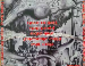 Flying Skull: Sign Of The Brave (Mini-CD-R / EP) - Bild 4