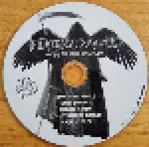 Flying Skull: Sign Of The Brave (Mini-CD-R / EP) - Bild 5