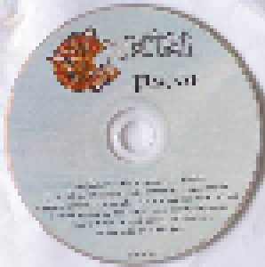 Cruachan: Pagan (CD) - Bild 3