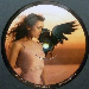 Joanna Newsom: Divers (2-LP) - Bild 3