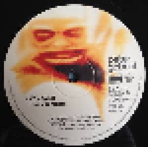 Peter Gabriel: Ein Deutsches Album (2-12") - Bild 5