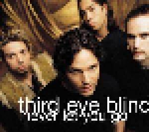 Third Eye Blind: Never Let You Go - Cover