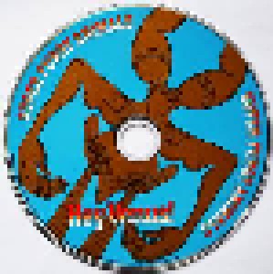 Super Furry Animals: Hey Venus! (CD) - Bild 5