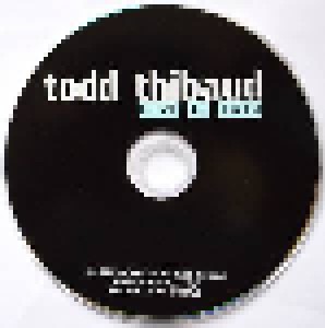 Todd Thibaud: Live At Toad (DVD) - Bild 5