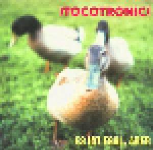 Tocotronic: Es Ist Egal, Aber - Cover