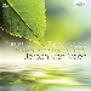 Yiruma: Piano Music - River Flows In You (2-LP) - Bild 1