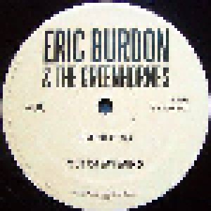 Eric Burdon & The Greenhornes: Eric Burdon & The Greenhornes (LP) - Bild 3