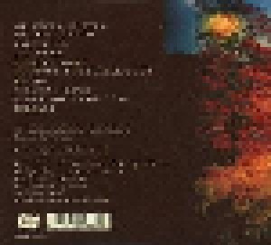 Lanterns On The Lake: Beings (CD) - Bild 2
