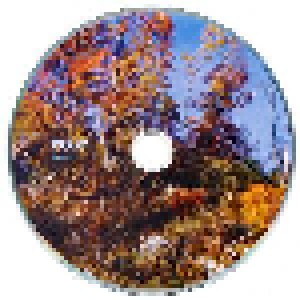Pole: Wald (CD) - Bild 3