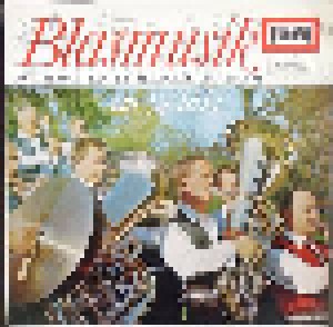 Das Süddeutsche Bläserensemble: Blasmusik Im 3/4 Takt (LP) - Bild 1