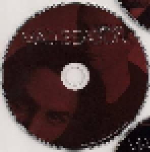 Mad Season: Above (Deluxe Edition) (2-CD + DVD) - Bild 5
