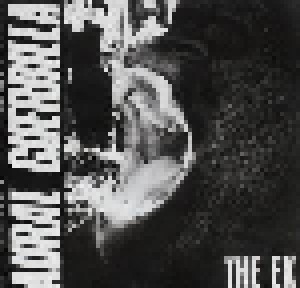 The Ex: Aural Guerrilla (LP) - Bild 1
