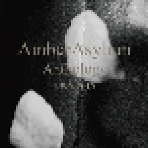 Cover - Amber Asylum: Anthology 1995 - 2015