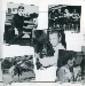 Das Goldene Schlager-Archiv 1965 (CD) - Bild 3