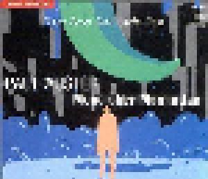Paul Auster: Mond Über Manhattan - Cover