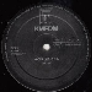 KMFDM: Godlike (12") - Bild 2
