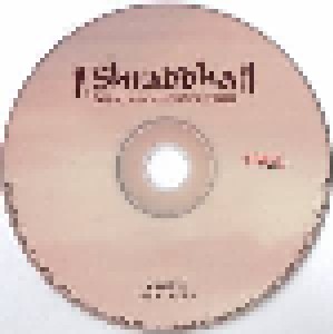 Ashit Desai: Shraddha (CD) - Bild 2