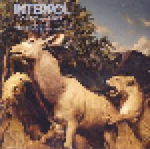 Cover - Interpol: Our Love To Admire