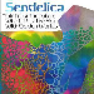 Sendelica: Girl From The Future Who Lit Up The Sky With Golden Worlds, The - Cover