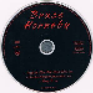 Bruce Hornsby: Walk In The Sun (Single-CD) - Bild 4