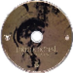 Primordial: A Journey's End (CD) - Bild 5