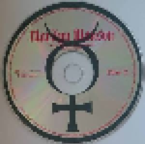 Marilyn Manson: Guns, God And Government World Tour (2-VCD) - Bild 5