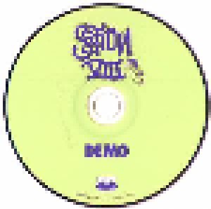 Lagwagon + Section VIII: Duh (Split-2-CD) - Bild 5