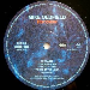 Mike Oldfield: Discovery (LP) - Bild 6