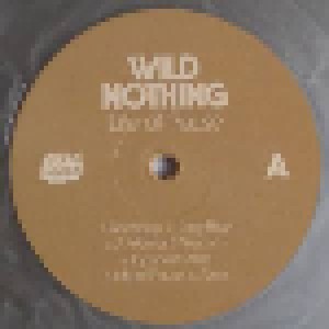 Wild Nothing: Life Of Pause (LP) - Bild 8