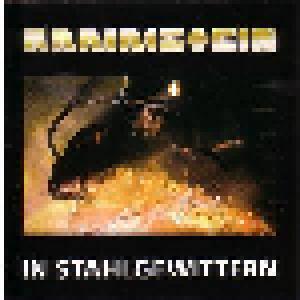 Rammstein: In Stahlgewittern - Cover